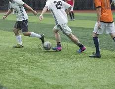 女明星为何,不再青睐富,豪联姻,ebpay官网下载app,ebpay下载,ebpay官网