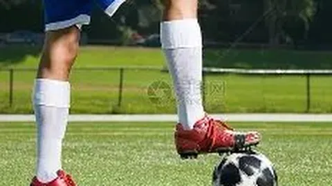 郑钦文有望成为商业价值最高的体育明星？代言总额近四千万，今年收入有望突破亿级？