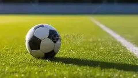 【双色球2025140期】揭秘绝密蓝球胆码，速来抢夺中奖先机！🎉🎈