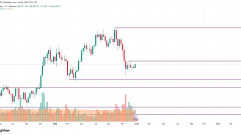 拜仁新添前杰出教练格兰特助教一职