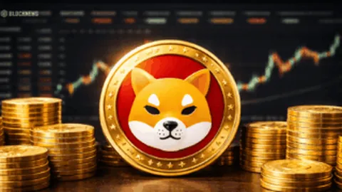 明星助力甘肃灾区：物资捐赠传递温暖与希望