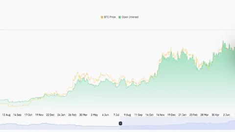 2025年排球欧冠八强战：瓦基弗银行喜中签运