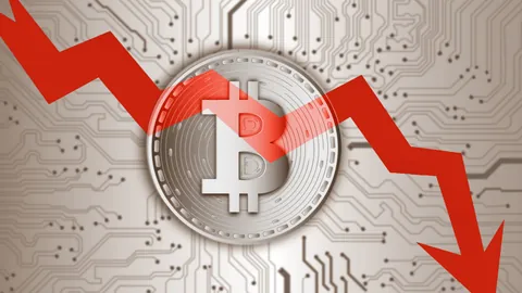 汪涵携手儿子游节目外，温馨同行画面动人